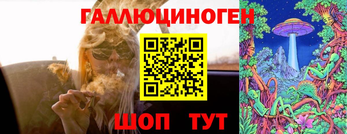 Псилоцибиновые грибы прущие грибы  Вход с VPN  Ессентуки  Псилоцибиновые грибы прущие грибы 